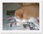 Tommy en Tymo 237 * 2048 x 1536 * (961KB)